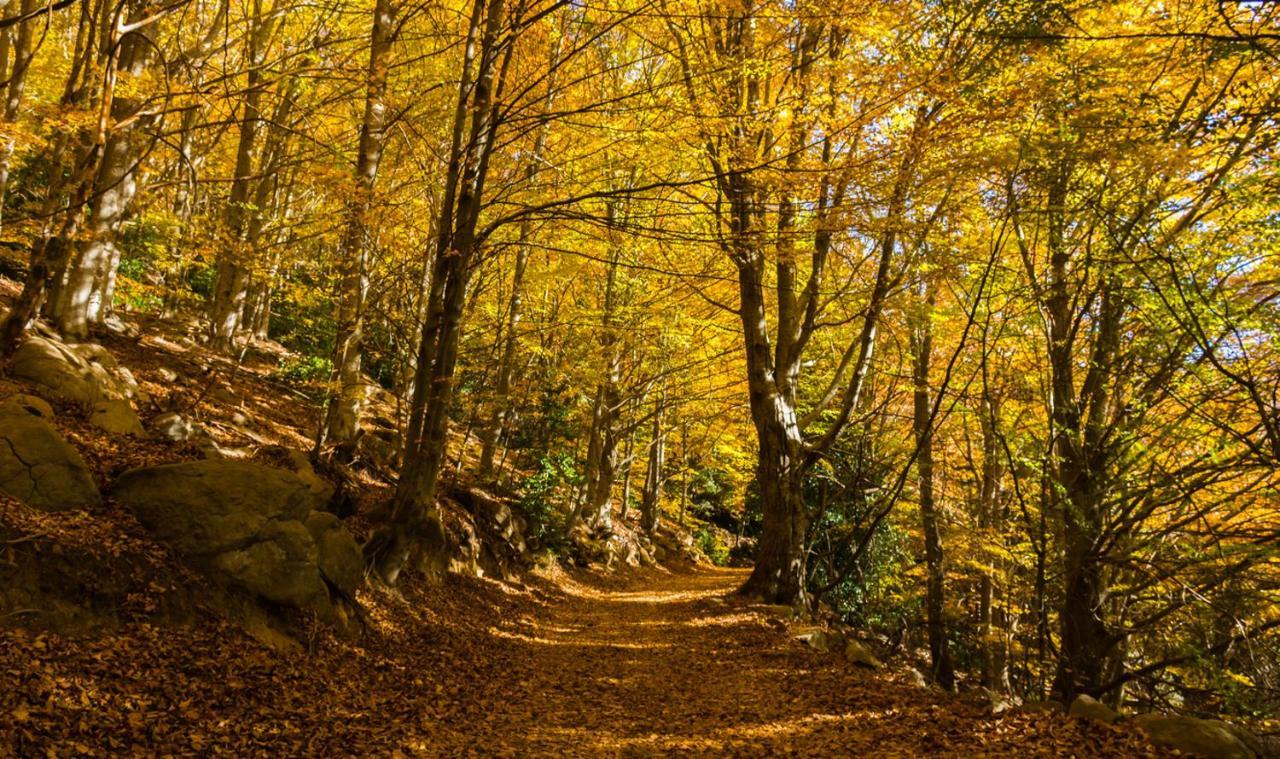 La Batlloria Casa Con Bonitas Vistas Para Disfrutar De La Tranquilidad 빌라 외부 사진